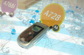 2005年中國國際通信設備技術(shù)展 8號館摩托羅拉產(chǎn)品秀圖片回顧